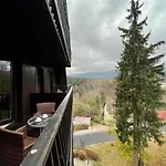 公寓 Panorama Gor Londyn W Centrum Z Balkonem I Widokiem Na Gory