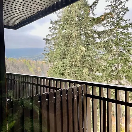 Trevilles Londyn W Centrum Z Balkonem I Widokiem Na Gory Szklarska Poręba