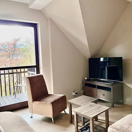 Apartman Panorama Gor Londyn W Centrum Z Balkonem I Widokiem Na Gory Szklarska Poręba