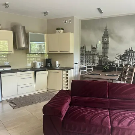 Trevilles Londyn W Centrum Z Balkonem I Widokiem Na Góry