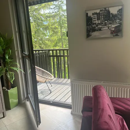 Appartement Panorama Gor Londyn W Centrum Z Balkonem I Widokiem Na Gory Szklarska Poręba
